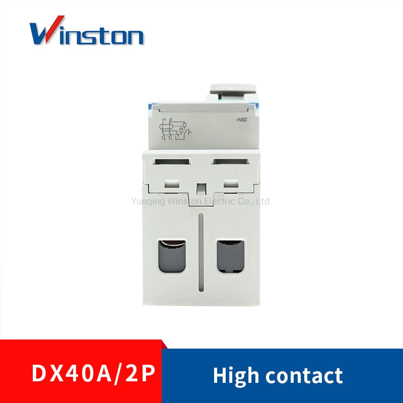 Dx 40A 2p 230V 6A-100A RCCB Mini Leakage Circuit Breaker