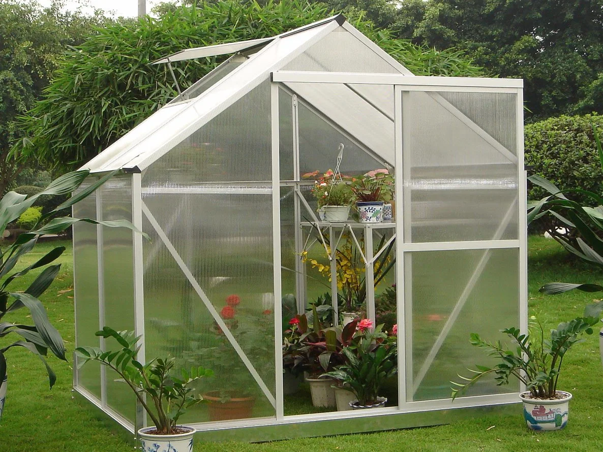 Vegetable Seeds Used Commercial Polycarbonate Greenhouse for Sale Rdga0604-4mm