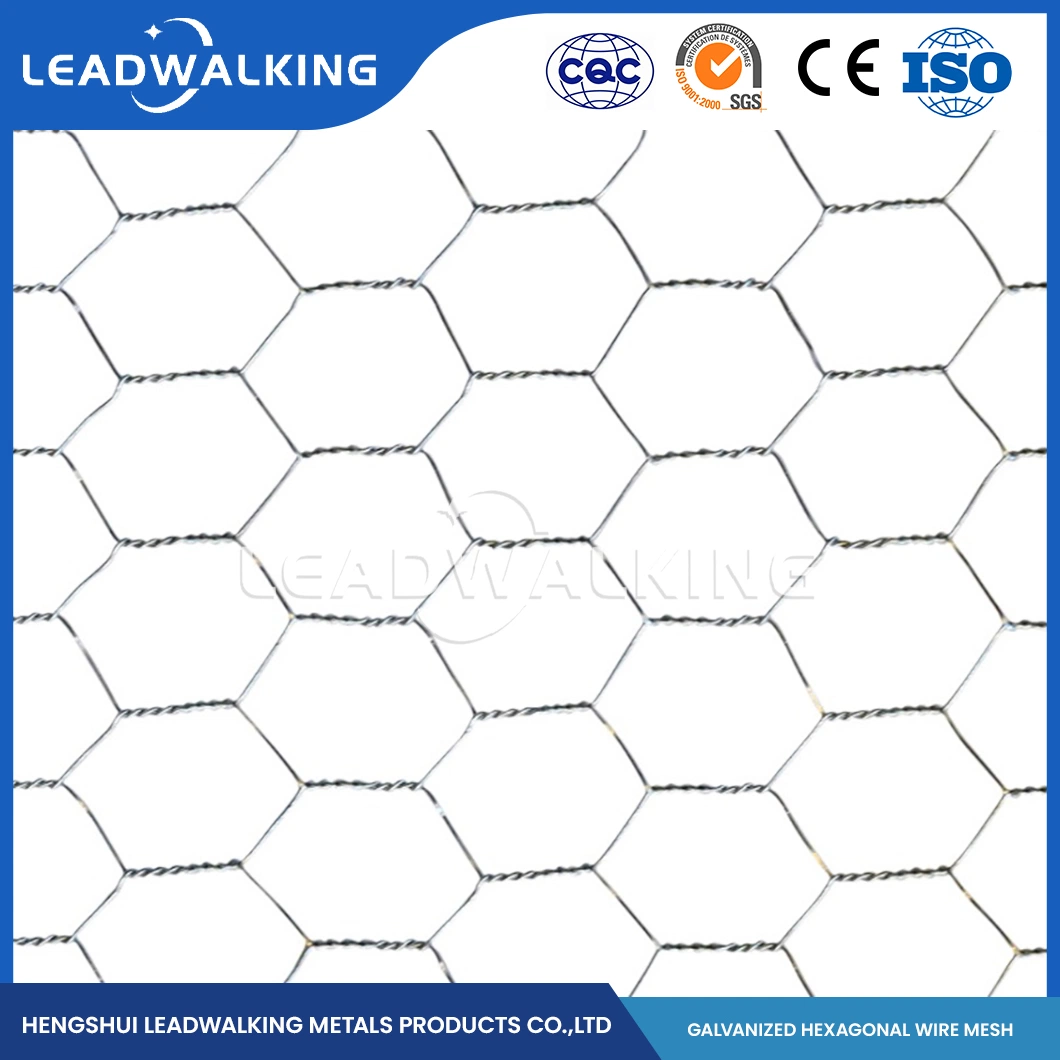 Leadwalking China Acero suave alambre tejido malla fábrica Acero inoxidable Material del alambre 16mm malla PVC Red hexagonal