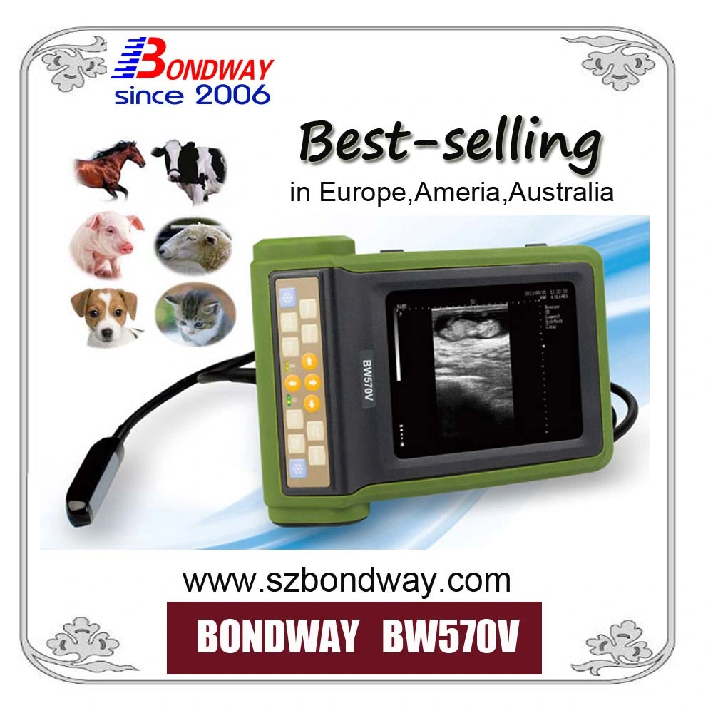 Digital Portable Ultrasonic Scanner, USG for Bovine Breeders, Farmers, Veterinary Service Center, Veterinary Hospital, Veterinary Ultrasound Scan Machine