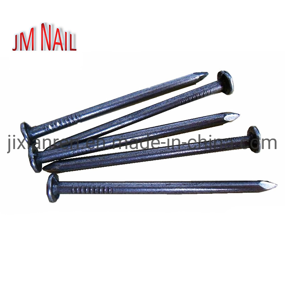 Common Nail/Building Nail/Wire Nail/Construction Nail/Iron Nail/Steel Nail