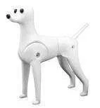 The Dog Hair Grooming Tool Teddy Bear Mannequin for Pet Grooming Salon