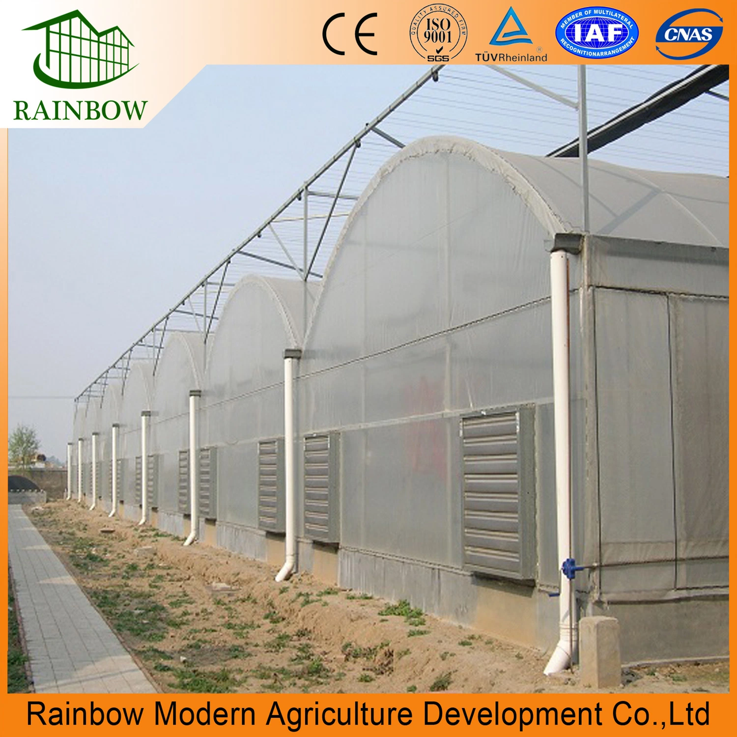 Top Sale Tomato Planting Plastic Multispan Warm Keep up Po Film Greenhouse