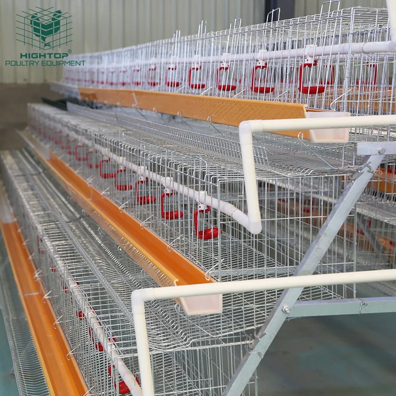 Manufactory Hightop Brand Multiple Tiers Salt Corrosion  Chicken Layer Cages For Poultry Farm