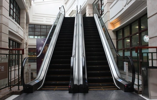 Escalera tipo pesado para el transporte público