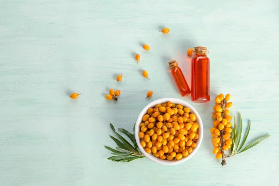 Fábrica Bulk Pure Natural Supercrítico CO2 extração Sea Buckthorn semente Óleo de Seabuckthorn