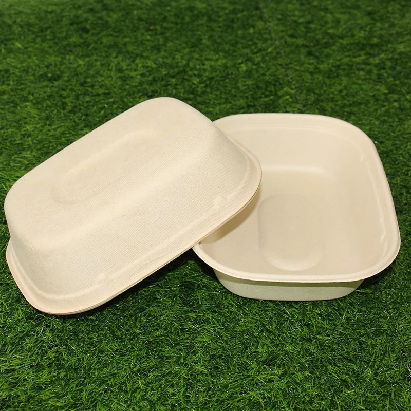 1300ml biodégradable personnalisé la bagasse 850ml Clamshell contenants alimentaires Food Box Bio à emporter de la charnière à usage unique Boîte à lunch