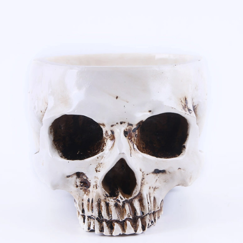 Halloween Scene Decoration Human Skeleton Head Planter Bed Box Container Skull Flower Pot