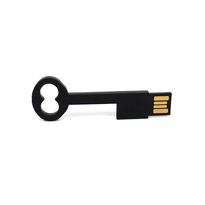 Plastic Key Shape USB Flash Drive Multi Color Hang USB Pen Drive