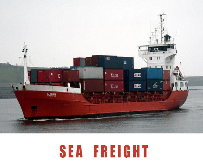 Shipping Companies DHL Express From China to World Wide Fast Service DHL Freight Forwarding