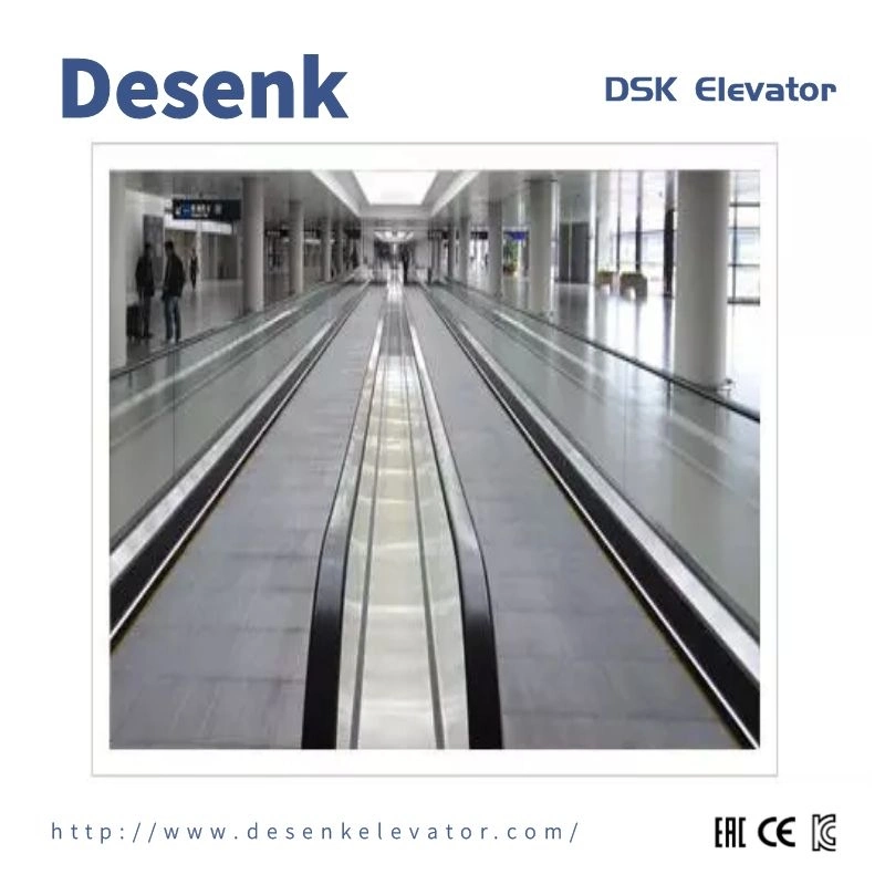 Outdoor Moving Side Escalator with Vvvf Sensor Factory Escalator Price