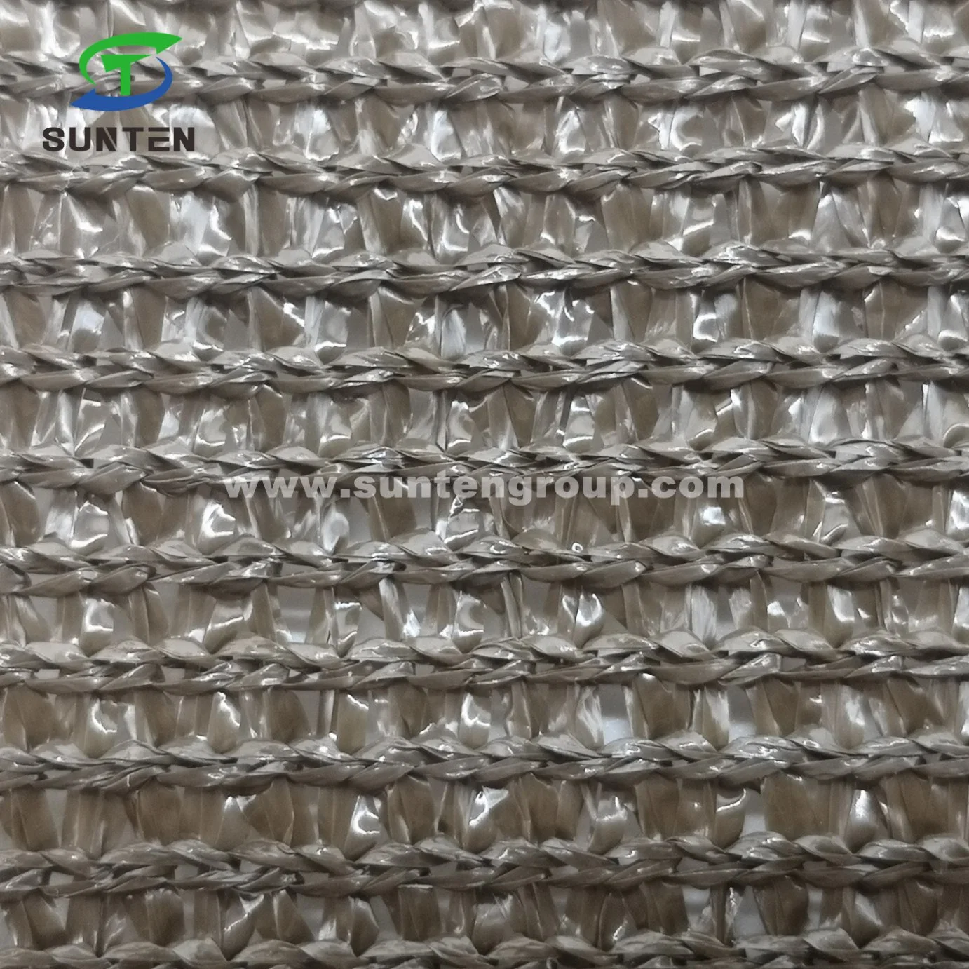 HDPE Agriculture/Agro/Agri/Greenhouse/Hoticulture/Vegetable/Garden/Raschel/Shading/Sun Shade Net for Europe & Chile