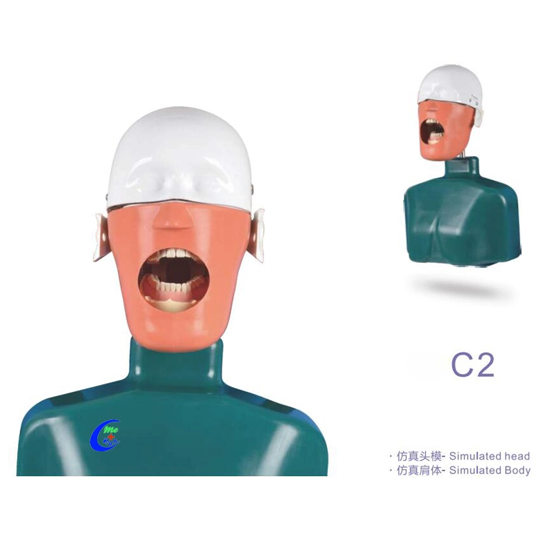 Simulated Head and Body Simple Dental Simul Ator Series