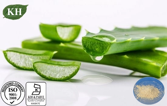 Gel naturel/séchage par pulvérisation de poudre d'Aloe Vera Gel