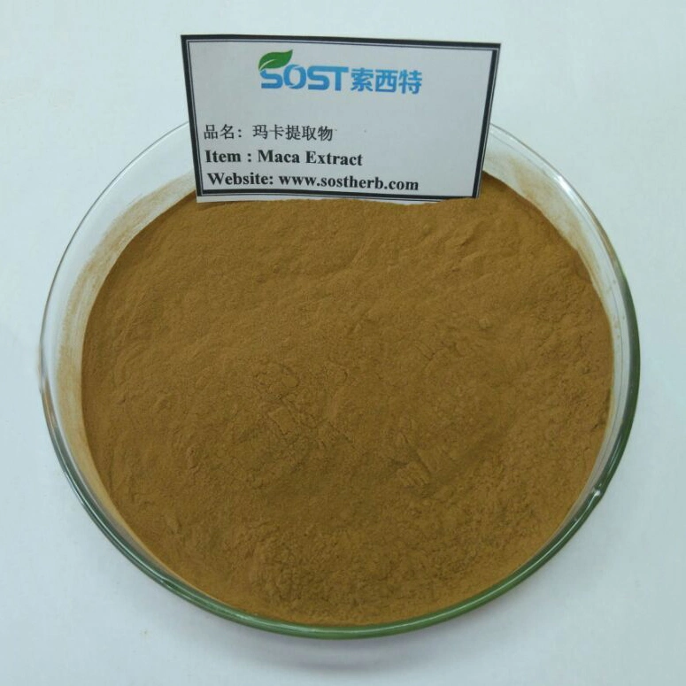 Wholesale Black Maca Root Powder for Healthcare