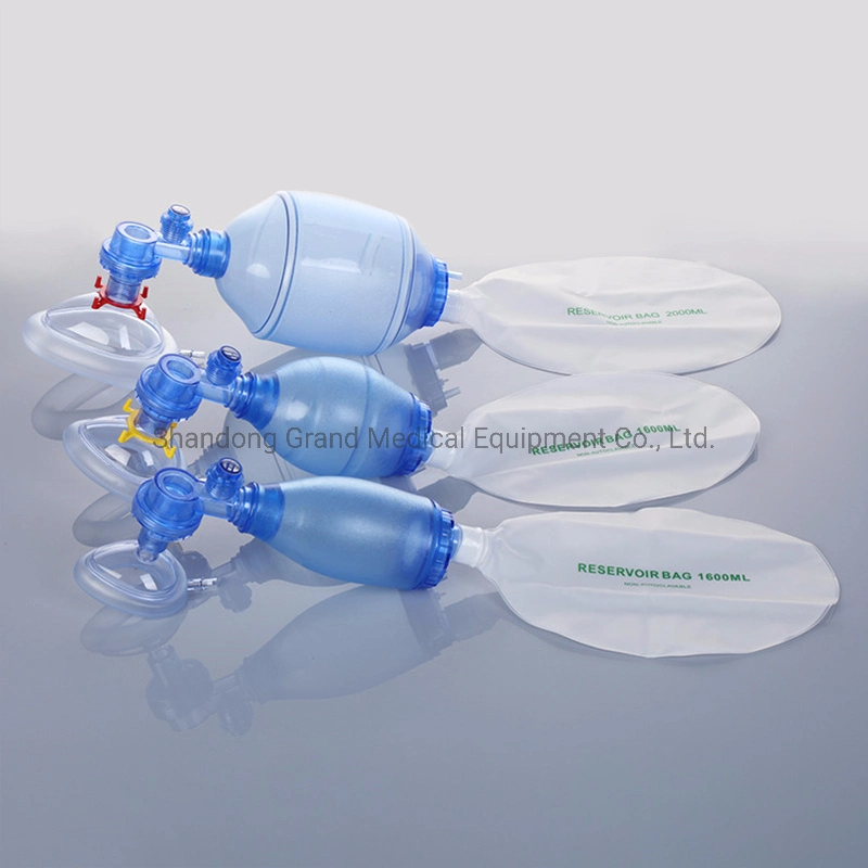 Cheap Price Simple Ventilation First-Aid Gasbag Resuscitator Ambu Bag for Baby or Adult Manufacturer