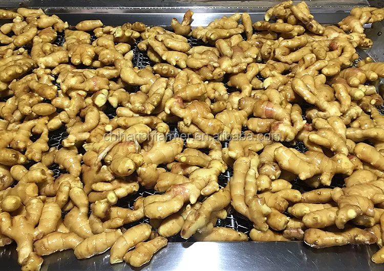 2023 Ginger Factory Supplier Air Dry Ginger in PVC Boxes