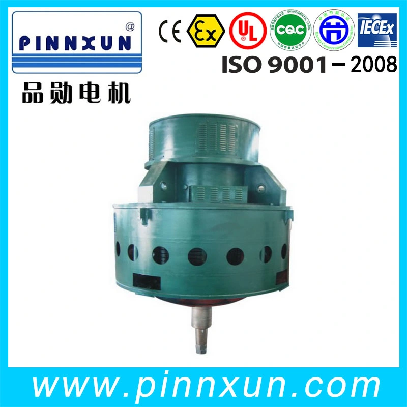 T Tk Tdmk Large Size Synchronous High Voltage Ball Mill AC Electric Induction Three Phase Motor