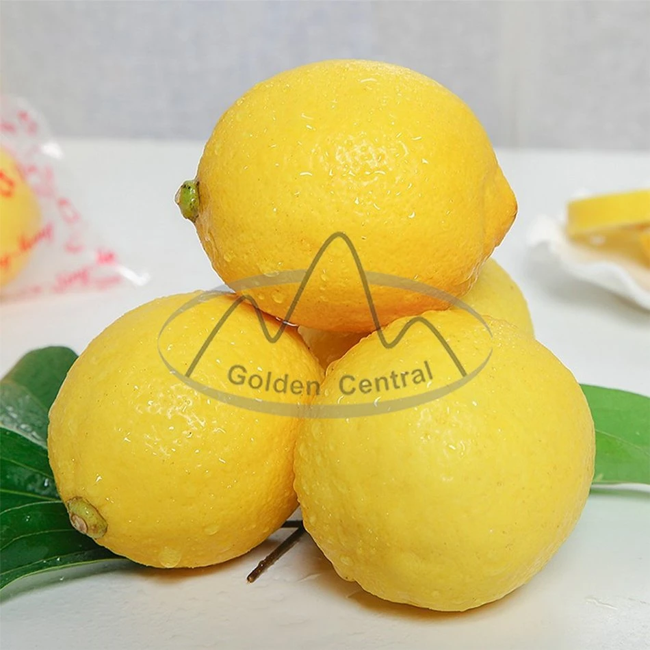 Yellow Fresh Lemon Made in China 100% Fresh Sour Lemon