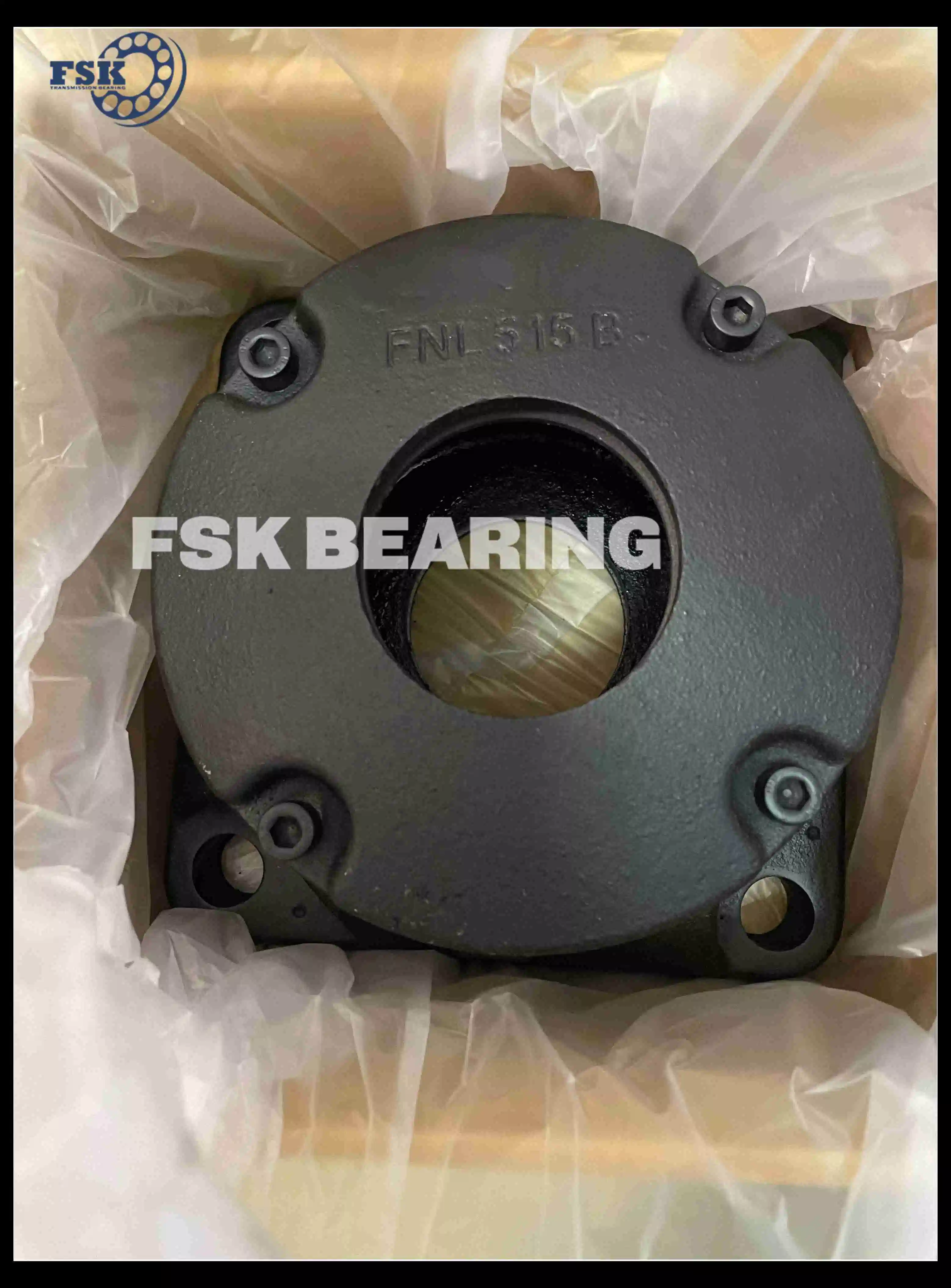 4 Bolt Type Fnl515A, Fnl515b Flanged Bearing Housing 65X95X190mm