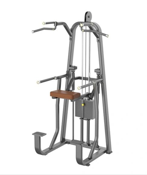 DIP Chin Assist, Fitness Gym Club Equipment