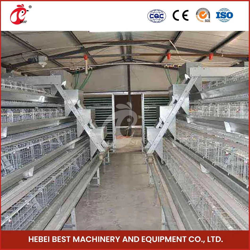 Bestchickencage China Chicken Layer Cage Manufacturing Wholesale Layer Egg Chicken Cage Configuration Chicken Coop Pet Houses Furniture