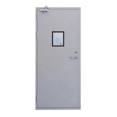 Fireproof Large Glass Panel Metal Doors Tempered Glass Steel Doors for Hospital, School, Lab