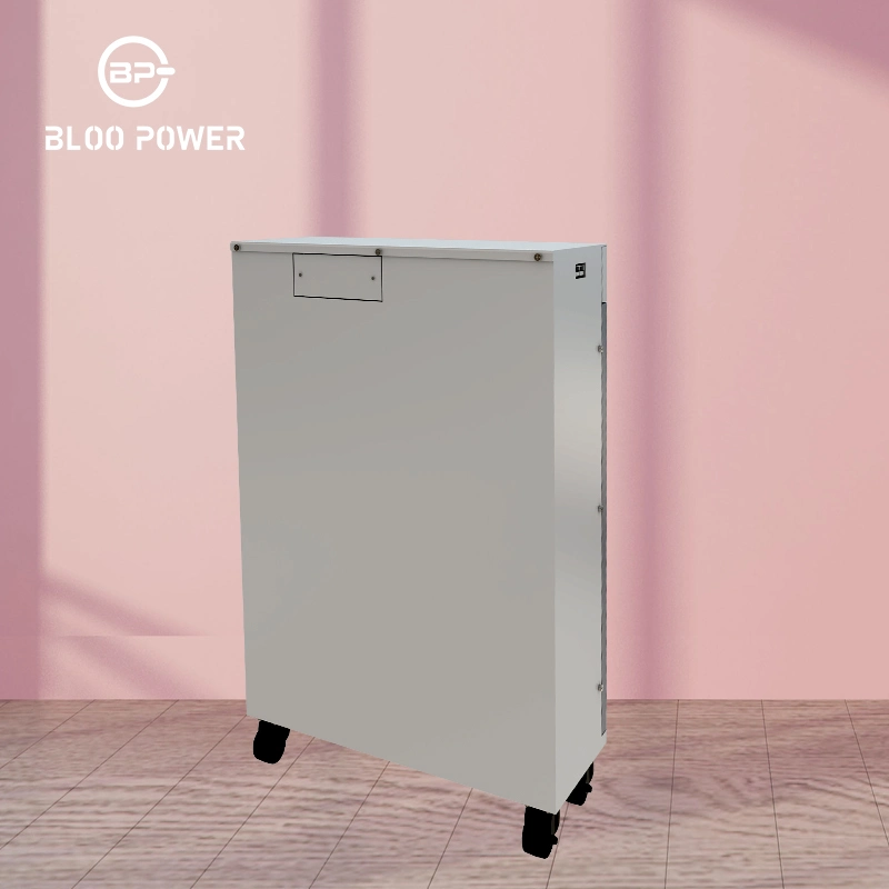 Bloopower 5kWh Ion Pack de Stockage à Usage Domestique 10 kW Source de Sauvegarde 3,2V 80Ah Cellule d'Énergie Solaire Charg Er Case Rack Monté Puissance