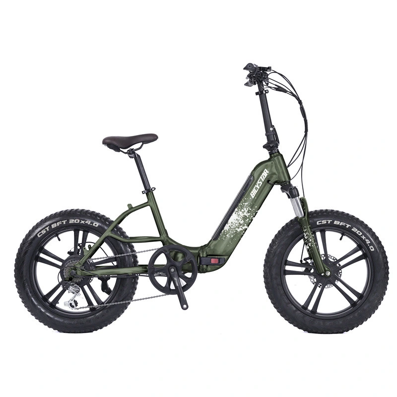 Japanese Adult 1000W Electric Fat Tire Bike 20 Inch MID Drive