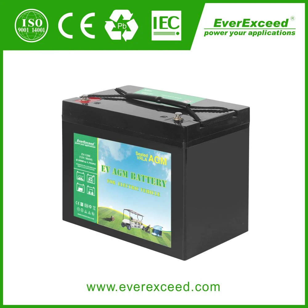 Everexceed 12V 80ah Deep-Cycle Gel Solar Battery VRLA/AGM/Rechargeable/UPS/Lead-Acid/Pack/6V/CSA