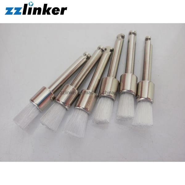 Lk-P41 Nylon Material Dental Polishing Prophy Brush Price