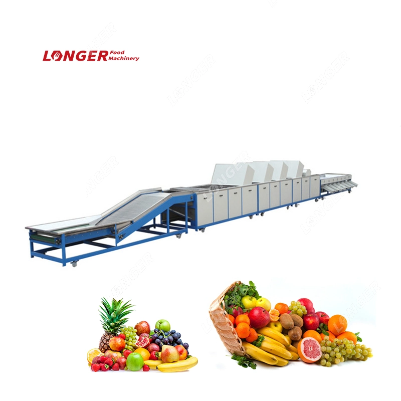 Vegetable and Fruit Washer Fruit Waxing Machine Fruit Processing Machinery