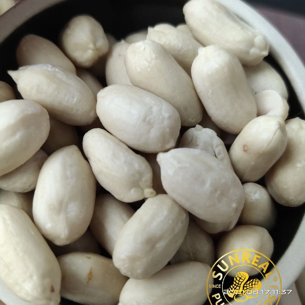 Pukee/Raw Blanched Peanut Kernels/Virginia/High quality/High cost performance /Best Materials