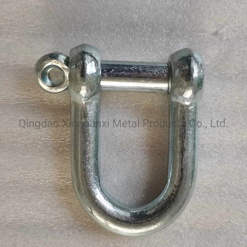 Factory Direct Supply Marine Lifting JIS Type D Shackle Galvanized or Stainless Steel EU Type Dee Shackle