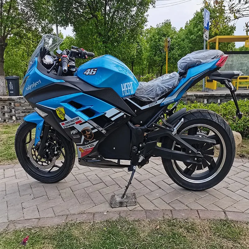 Popular and Nice EEC Electric Motorcycle/Ebike/Scooter with Big Power and Long Distance