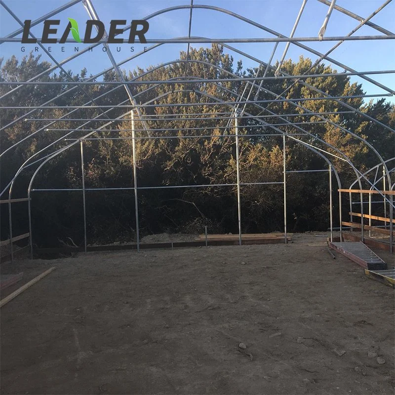 Economic Single Span 200 Micron Film High Poly Tunnel Greenhouse for Vegetable