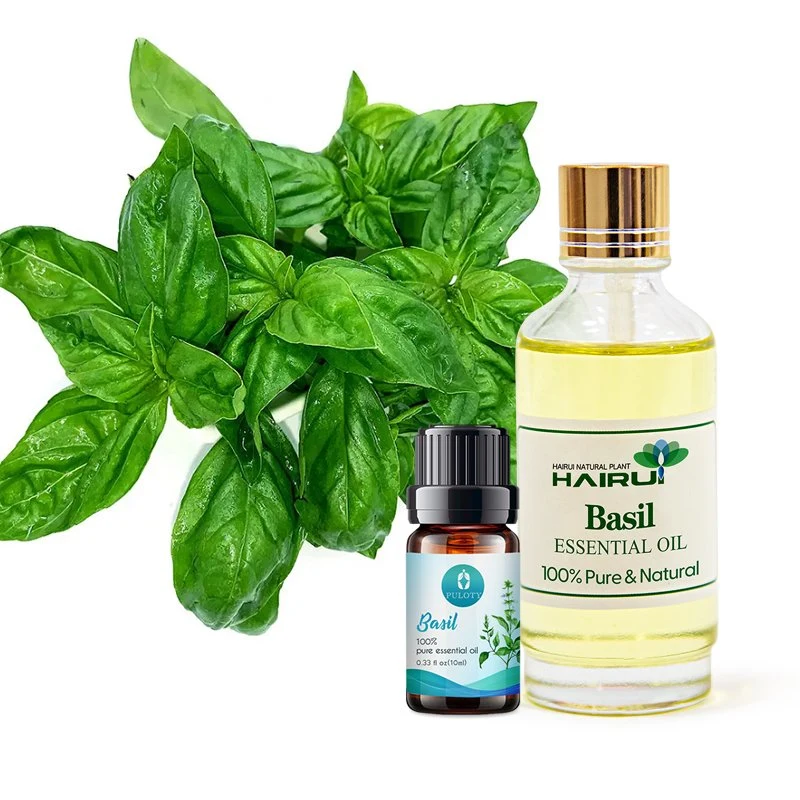 Private Label Free Sample Wholesale/Supplier Bulk 100% Pure Natural Basil Essential Oil