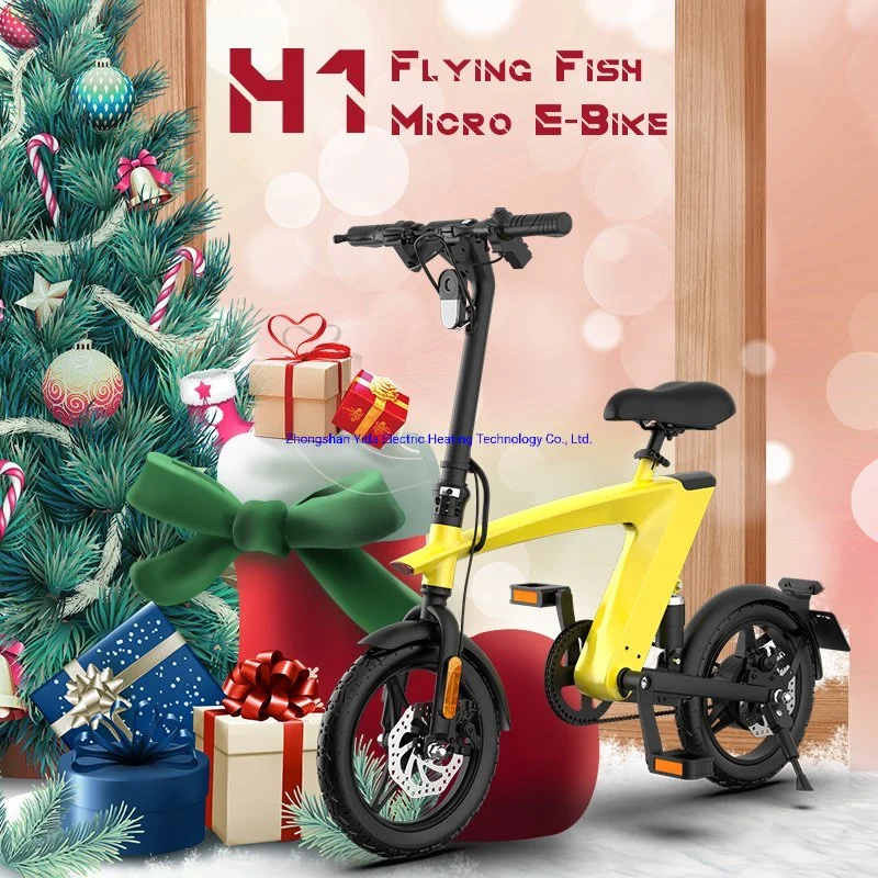 Neues Modell chinesischen 250W Motor 10Ah Batterie Long Range Electric Fahrrad für 2022 Weihnachten