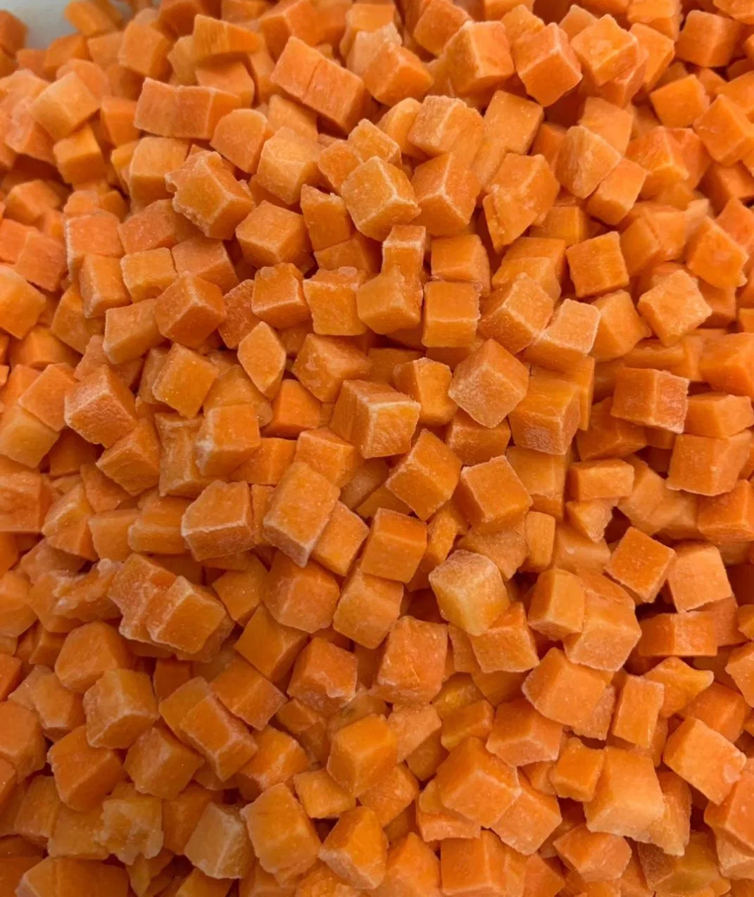 Vegetal de zanahoria congelado IQF de calidad premium en envase de papel