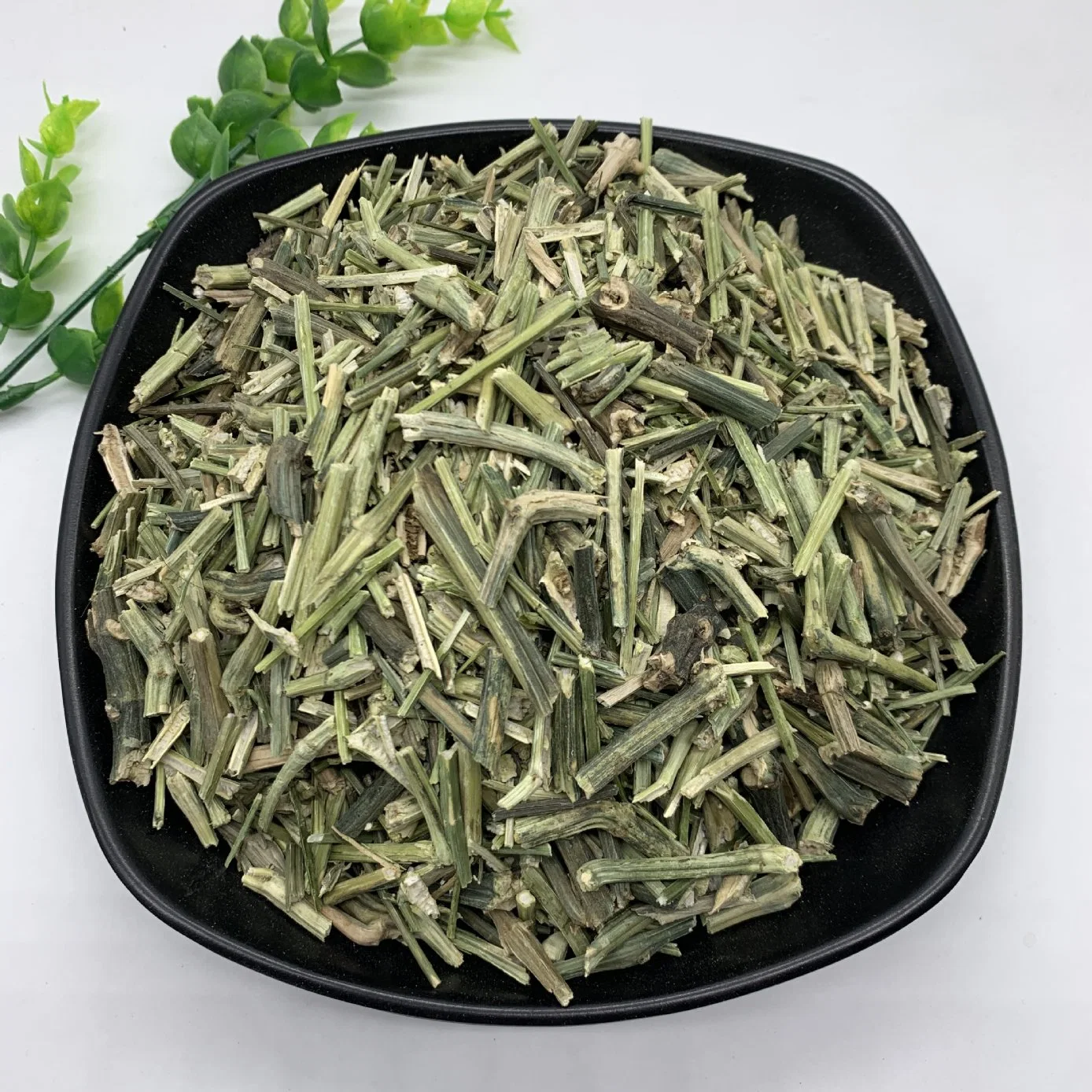 Chuan Xin Lian Hot Sale Natural Herb Andrographis Paniculata Wholesale/Supplier Supplier