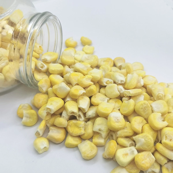 Wholesale/Supplier Price Freeze Dried Vegetable Benefits Fd Sweet Corn