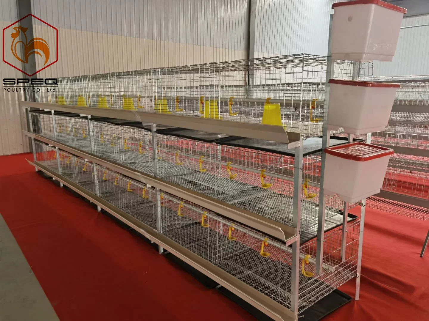 Maquinaria ganadera sistema automático de alimentación de jaulas de aves de corral para capas