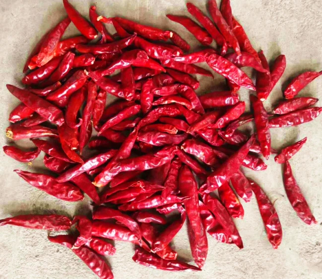 New Crop Factory Price Dried Chilli Powder