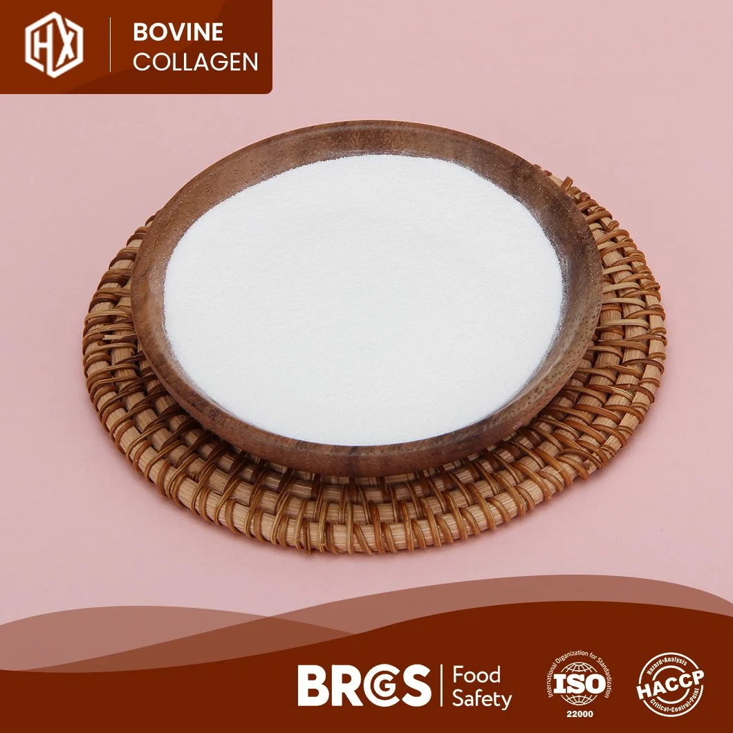 Haoxiang Quality Bovine Bone Collagen OEM Customized Flavourless Pure Bovine Collagen China Manufacturers One-Stop Service Cheap Price Collagen Peptides Gelatin