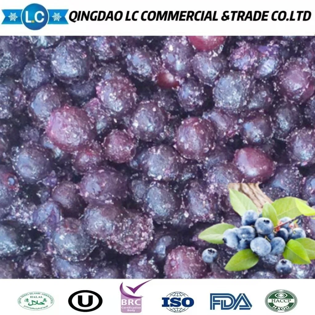 Marcas chinas fruta a granel cultivada de alta calidad Azulejos congelados IQF Precios de arándanos silvestres