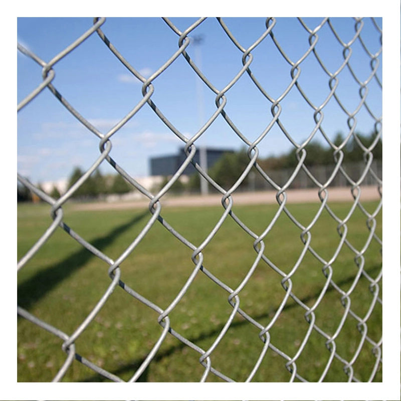 Galvanized PVC Coated Chain Link Panels Wire Rolls Fencing Chain Link Fence Farm Fence Garden Fence Galvanized Gabion Wall