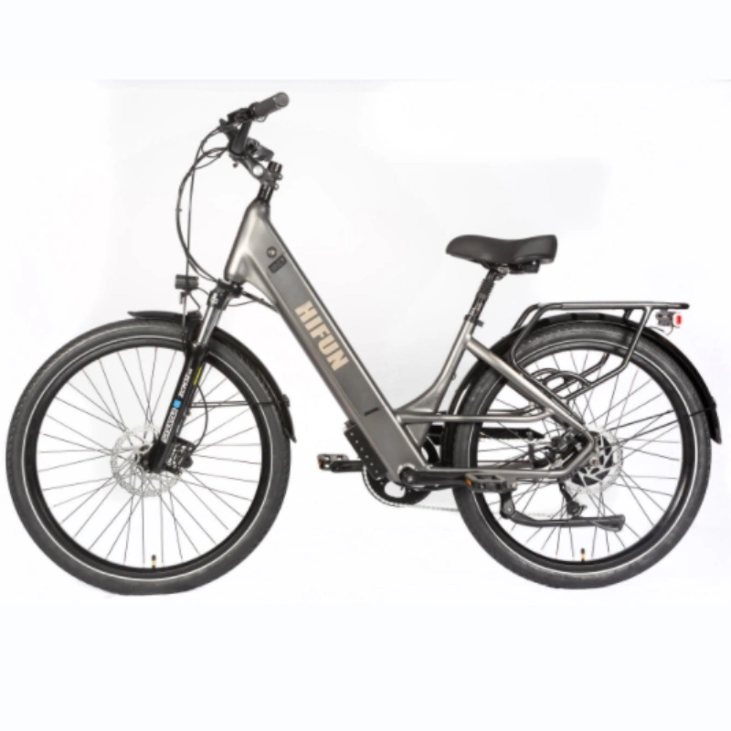 See 15 Comfort CE starkes Elektrofahrrad