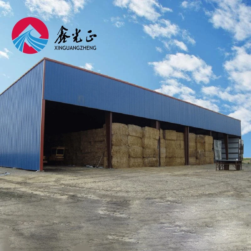 Steel Shed Construction Gable Steel Buildings Metal Fabrication Shop