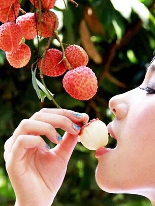 Frutas Enlatadas Lichia Doce Enlatada em Xarope Leve/Pesado com Litografia em Latas Verdes de Abertura Fácil - Melhor Produto em Fujian.