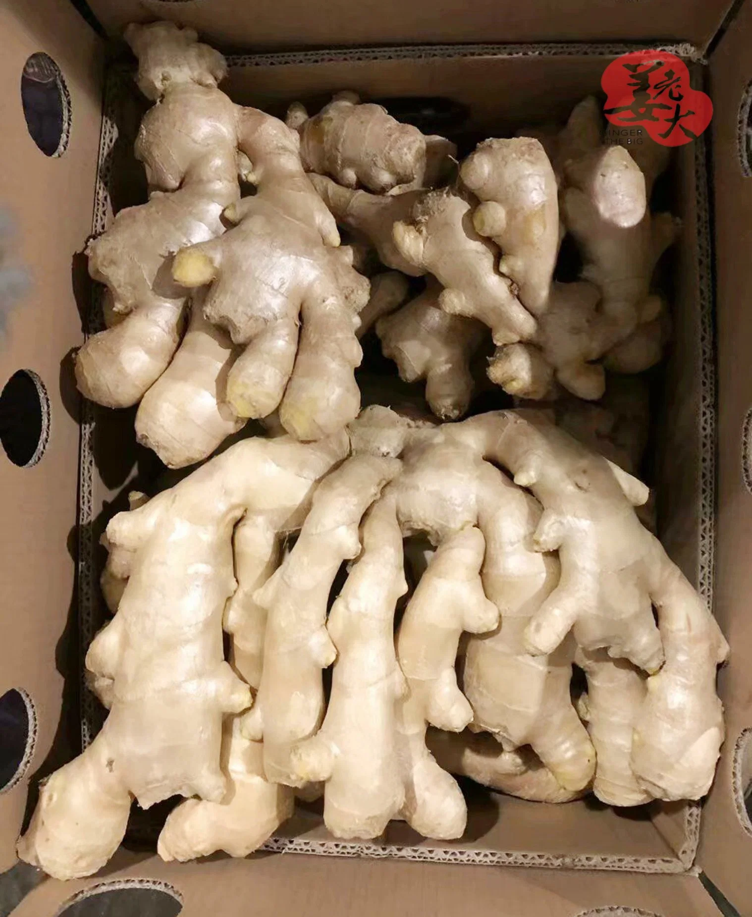 Air Dried Ginger to Norway Crop 2020
